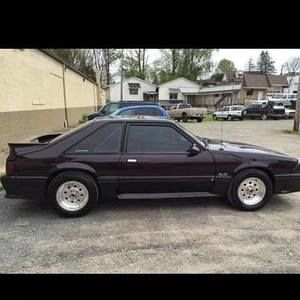 Meet your Posher, Brian